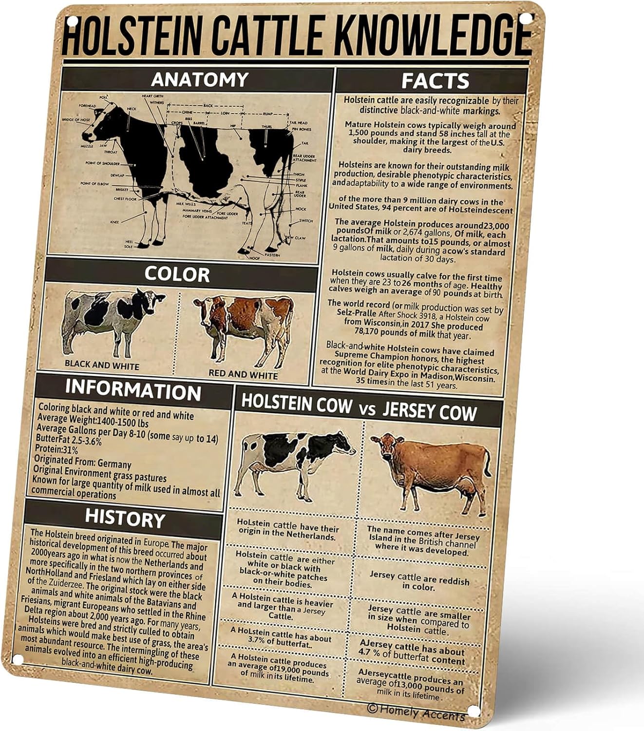 Kids Educational Posters - Pôster Educacional de Conhecimento sobre Gado