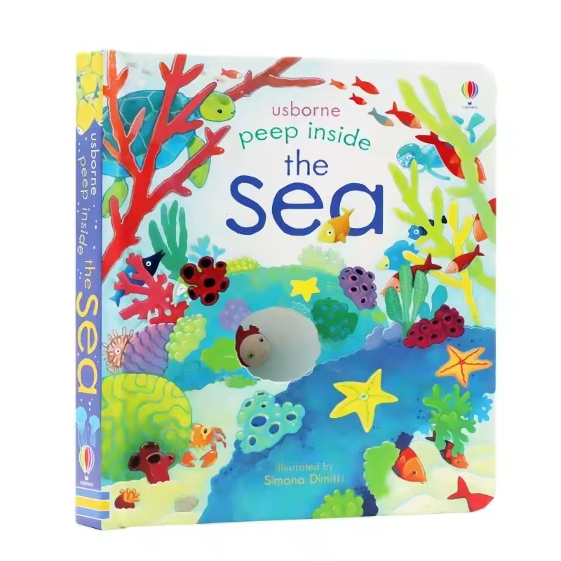 Kids Education Picture - Livros educativos em inglês da Usborne