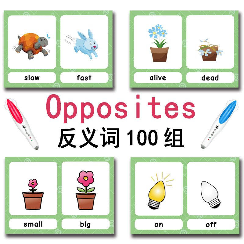 100 Cartões de Vocabulário em  - Kid Education avaliação e preço