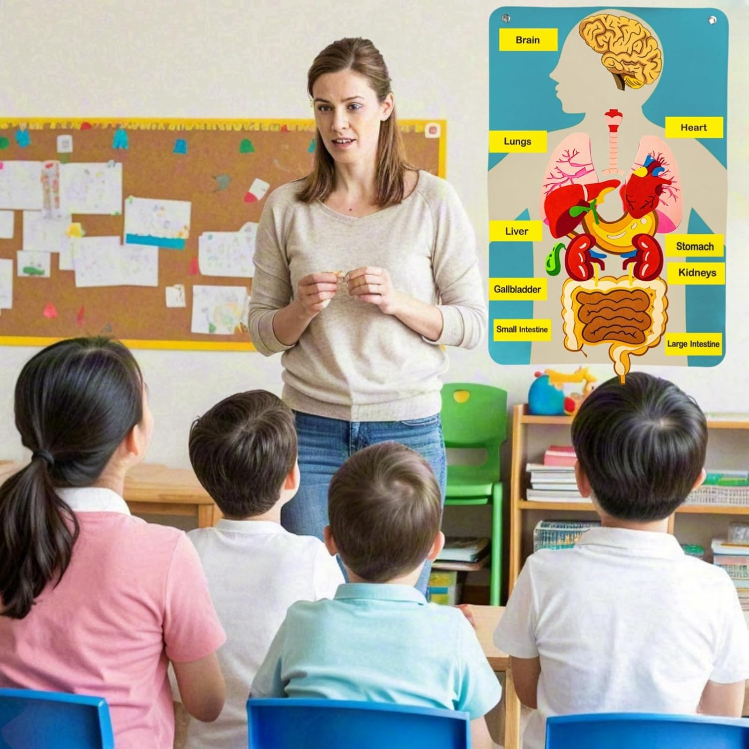 Peças do corpo humano, placa d - Human Body Puzzle avaliação e preço