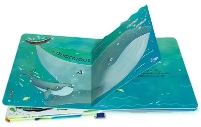 Livros educativos em inglês da - Kids Education Picture avaliação e preço