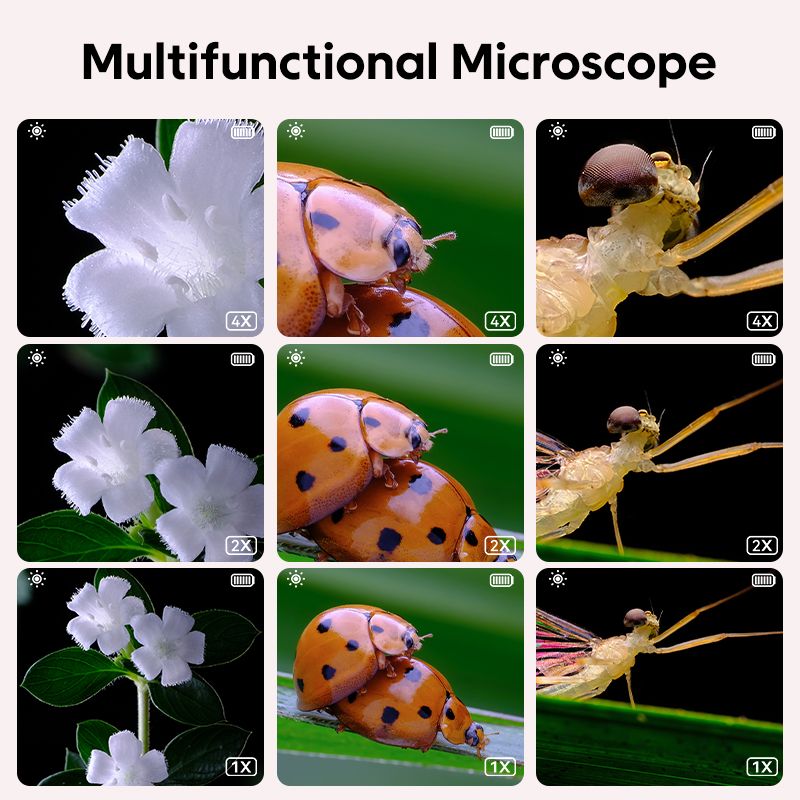 Mini microscópio óptico infant - Kids Education Video avaliação e preço